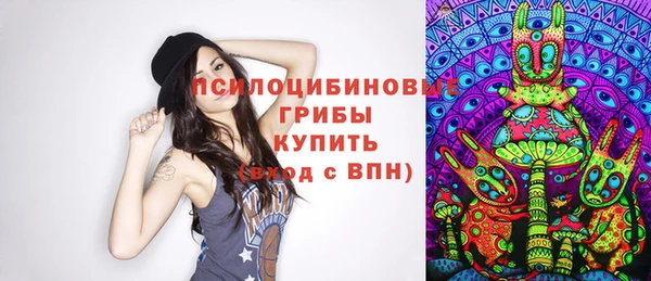 МДПВ Бронницы