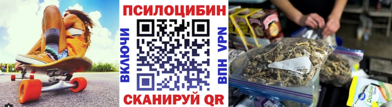 цена Десногорск Галлюциногенные грибы Psilocybe